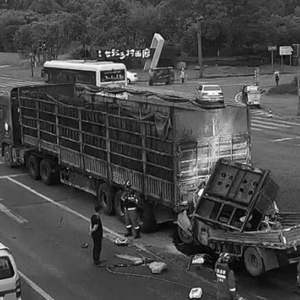 成都交通事故最新動態,深度解析事故及其影響