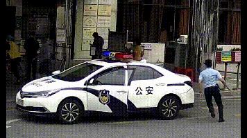 南海長華國際最新動態，任務指南與技能學習教程更新速遞