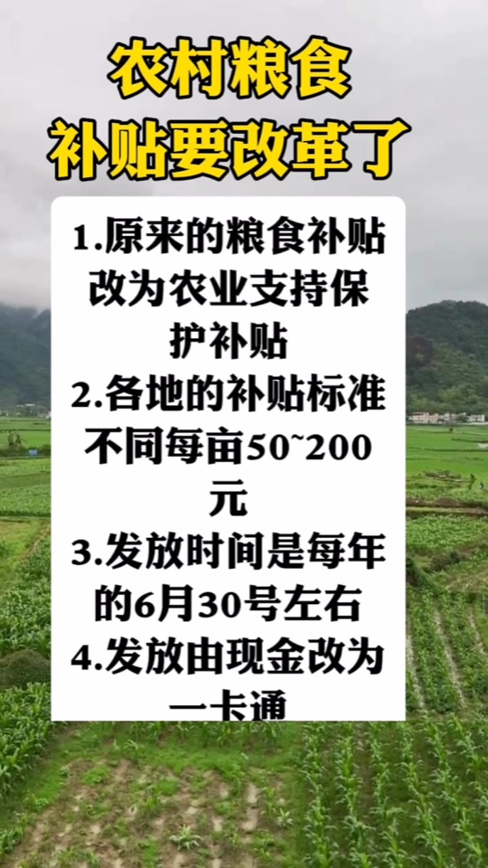 關于糧食直補的最新消息,展望2025年的政策動向