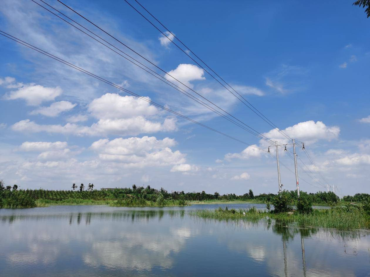 虞城濕地公園最新進展,一種觀點下的影響分析及其進展概述