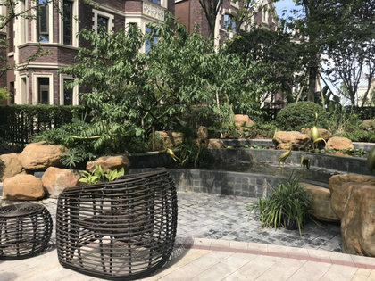 國(guó)博城泊玨墅,家的溫馨與友情的深度,最新動(dòng)態(tài)揭秘