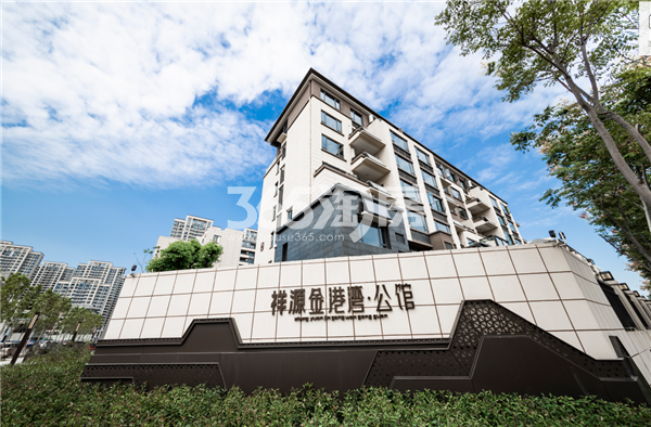 祥源金港灣最新動態,啟航新征程,成就夢想之地